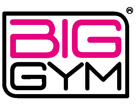 Big Gym logo
